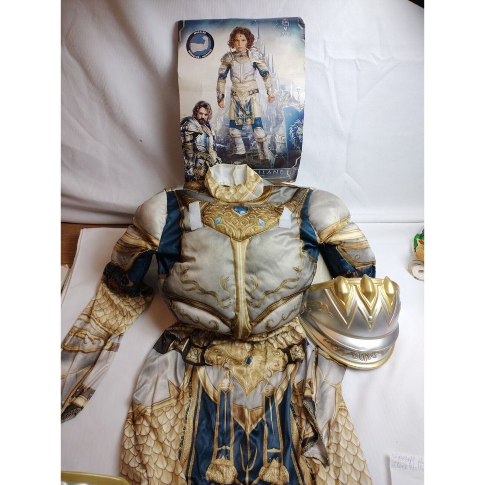Halloween Child Custom King Llane  Size M 7-8 Years Old